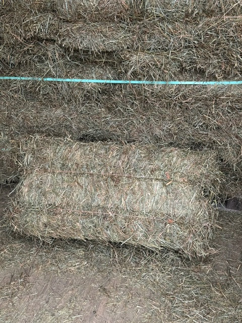 Hay Bale Second Cutting
