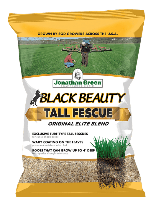 Jonathan Green Black Beauty Black Beauty® Original Tall Fescue Grass Seed Blend