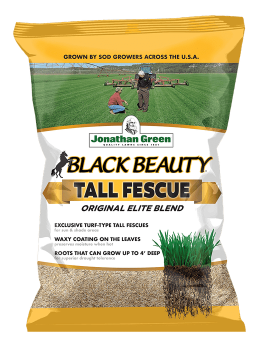 Jonathan Green Black Beauty Black Beauty® Original Tall Fescue Grass Seed Blend