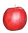 Apple, Jonastar, 7 gal (5-7 ft)