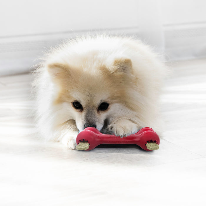 KONG Goodie Bone Dog Toy, Large