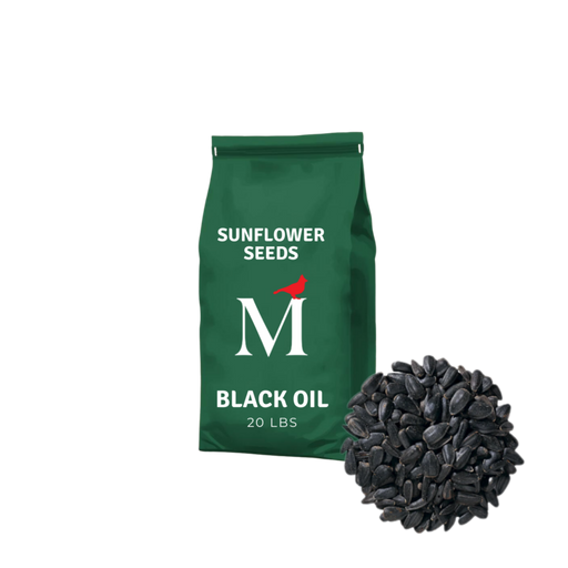 Black Oil Sunflower Seed, 20lbs