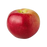 Apple, Macoun, 7 gal (5-7 ft)