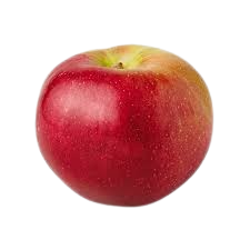 Apple, Macoun, 7 gal (5-7 ft)