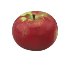 Apple, McIntosh, 7 gal. (5-7 ft)