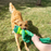 KONG Knots Frog Dog Toy, Large/Extra Large