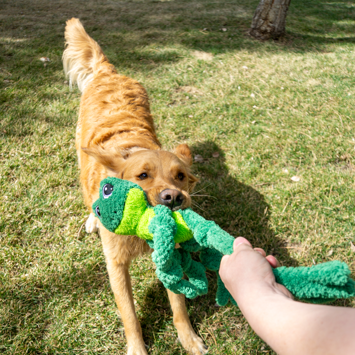 KONG Knots Frog Dog Toy, Large/Extra Large