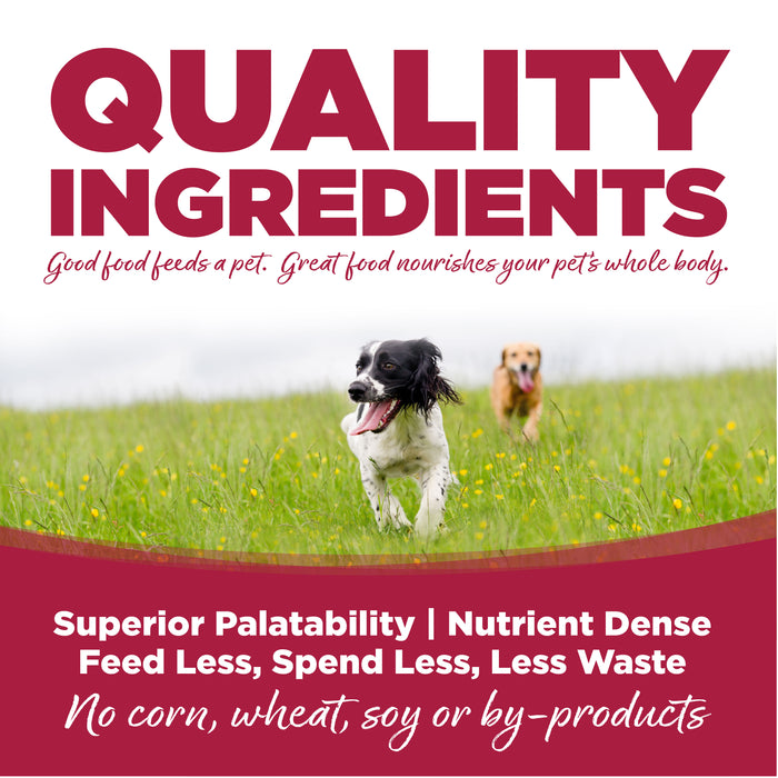 NutriSource Chicken, Lamb & Ocean Fish Formula Healthy Wet Dog Food, 13oz can