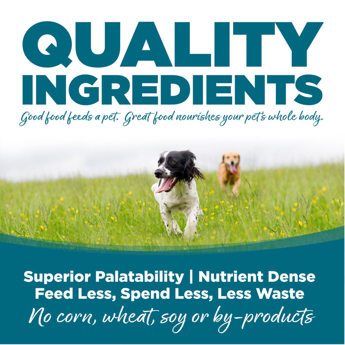 NutriSource Adult Chicken & Rice Formula Healthy Wet Dog Food, 13oz can