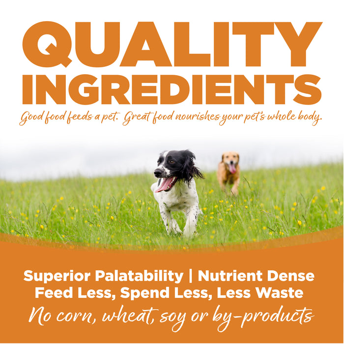 NutriSource Lamb & Rice Formula Healthy Wet Dog Food, 13oz can