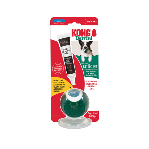 KONG Dental Ball, Medium Dog Toy