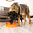 KONG Licks Mealtime Interactive Feeder for Dogs, Large
