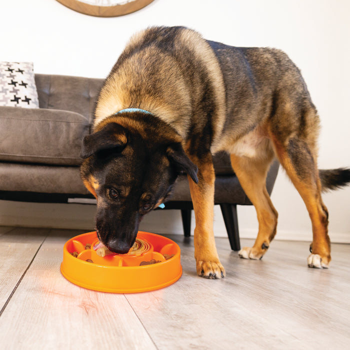 KONG Licks Mealtime Interactive Feeder for Dogs, Large