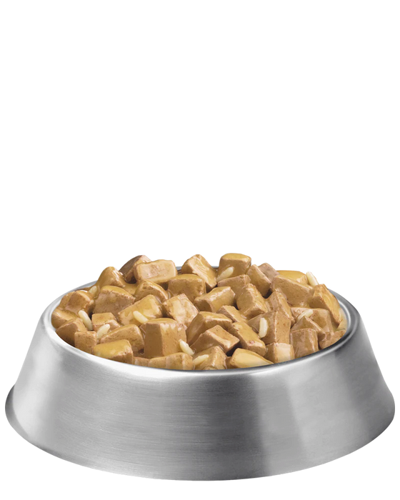Purina Pro Plan Adult Large Breed Chicken & Rice Entrée Chunks In Gravy Wet Dog Food, 13OZ