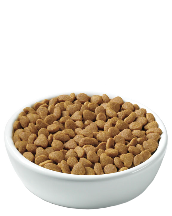 Purina Pro Plan Adult Indoor Salmon & Rice Formula Cat Food, 7lb