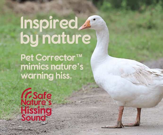 Pet Corrector Dog Training Aid