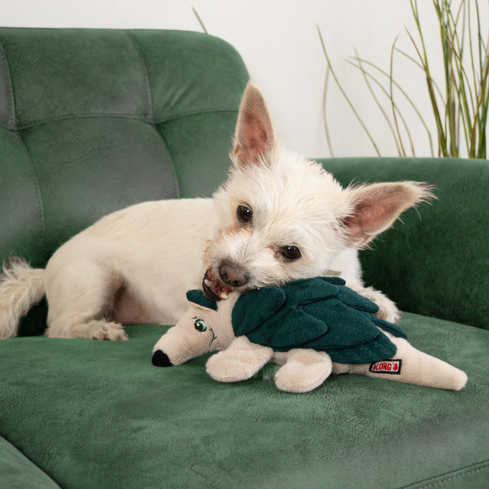 KONG Layerz Forage Armadillo Dog Toy, Medium