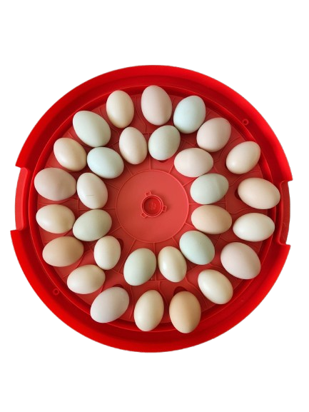 Auto-Turn Egg Incubator, 16"x16"x3.5"