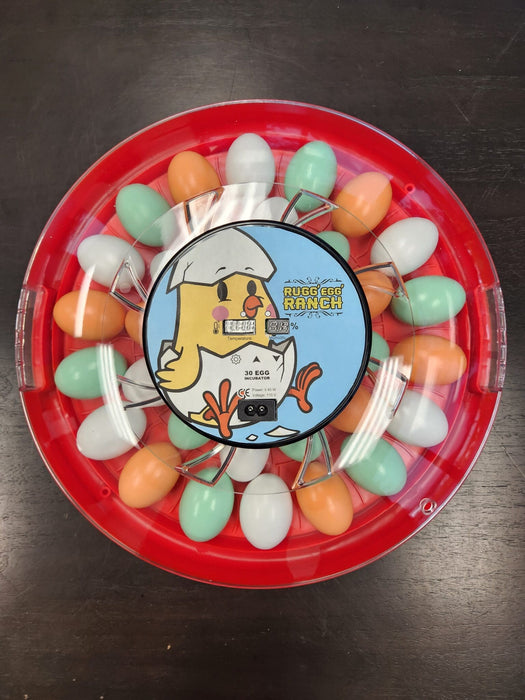 Auto-Turn Egg Incubator, 16"x16"x3.5"