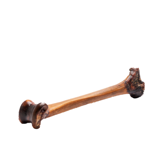 ROAM Slow Roast Forever Ostrich Bone, 1pk Dog Chew