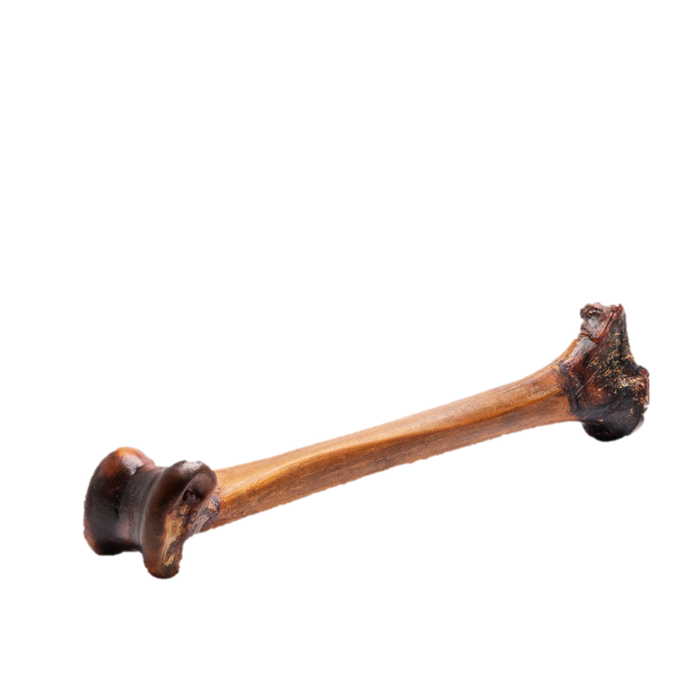 ROAM Slow Roast Forever Ostrich Bone, 1pk Dog Chew