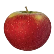 Apple, Royal Red Honeycrisp, 7 gal. (5-7 ft)