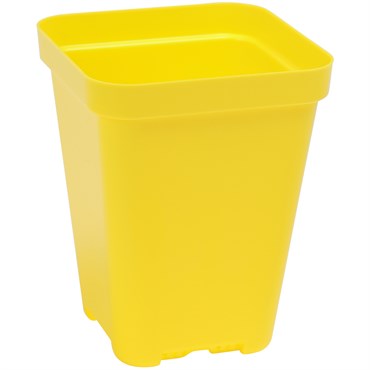 Sunpack 3.3" Square Pot, Yellow
