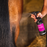 Canter Mane & Tail Conditioner for Horses