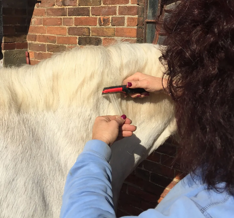 SoloComb Humane Groomer for Horses and Pets