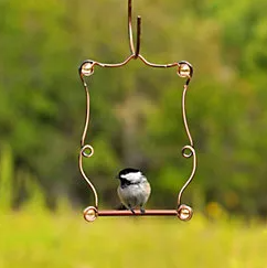 Hummingbird Swing, 7.25"x5"