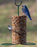 Mr. Bird Cylinder Feeder