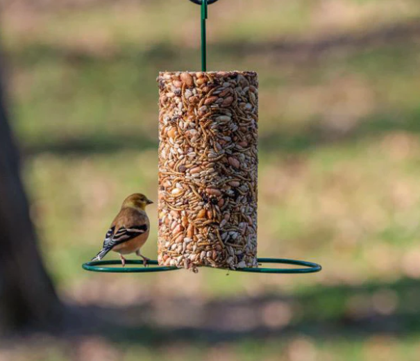 Mr. Bird Cylinder Feeder