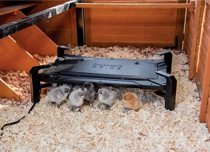 2-in-1 Chicken Coop Heater and Brooder