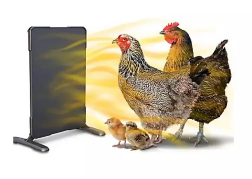 2-in-1 Chicken Coop Heater and Brooder