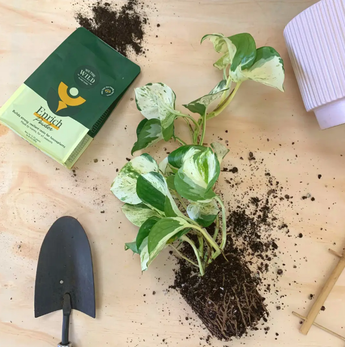 Enrich Powder Organic Plant Food and Soil Amendment for Potted Plants, 14oz