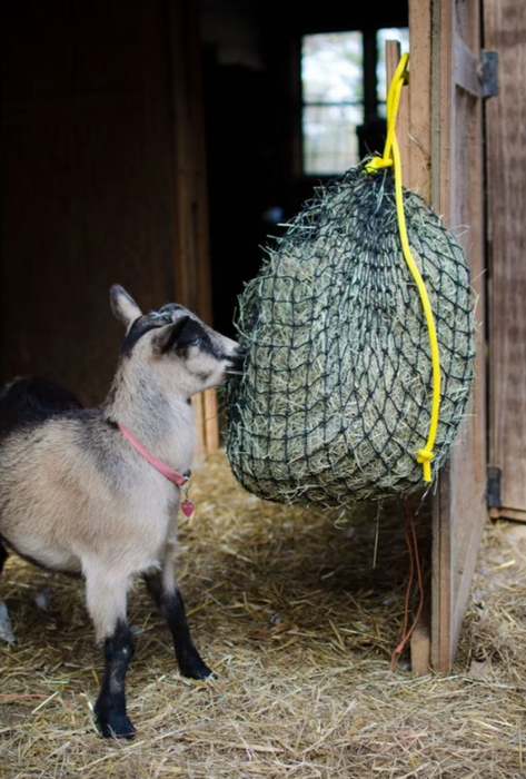 Haynet, Small 1.5"