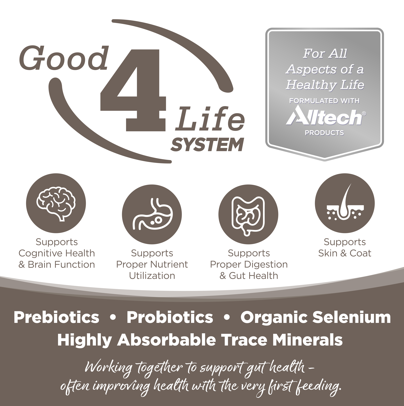 NutriSource Senior Formula Healthy Wet Dog Food for Seniors, 13oz can