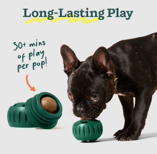 WOOF Pupsicle Pops Chicken & Peanut Butter Dog Treats