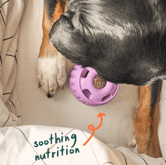 WOOF Calming Wellness Pops Dog Treats