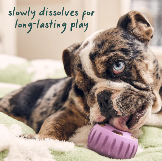 WOOF Calming Wellness Pops Dog Treats