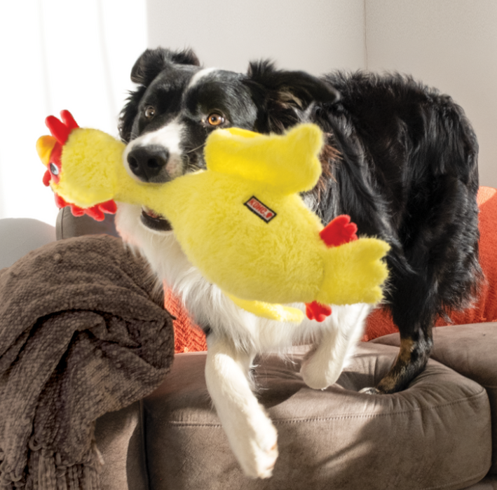 KONG Scruffs Chicken, Medium/Large Dog Toy