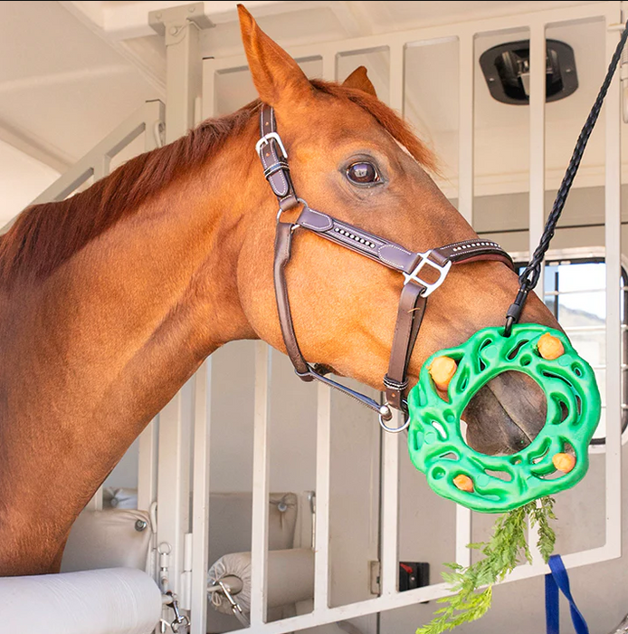 PetKORE Luna Ring: The Ultimate Treat Puzzle for Horses