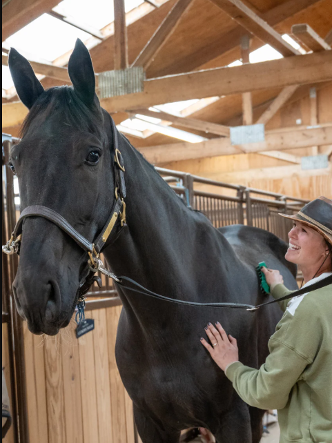PetKORE GroomBug: The Ultimate Grooming Brush for Horses