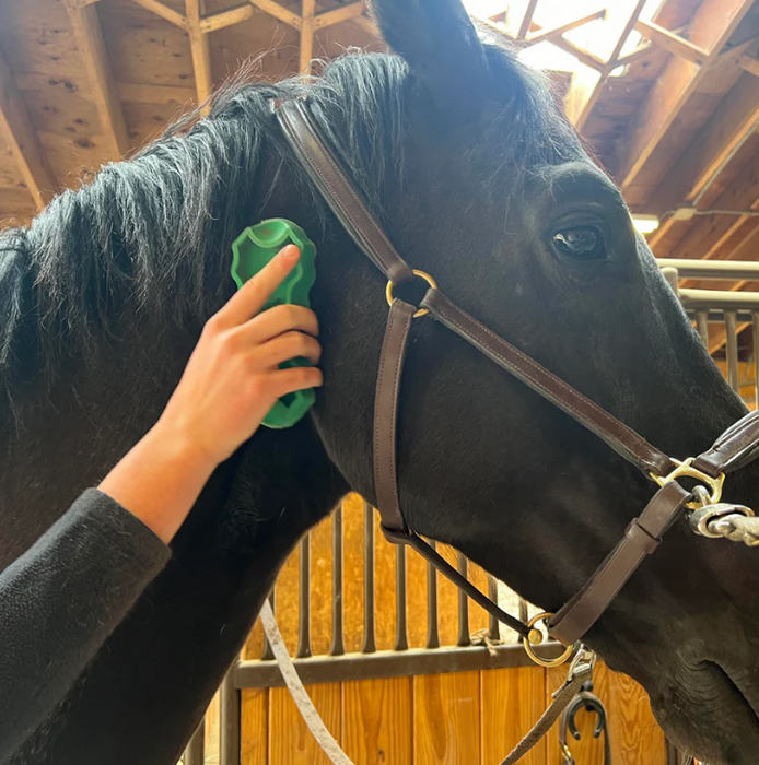 PetKORE GroomBug: The Ultimate Grooming Brush for Horses
