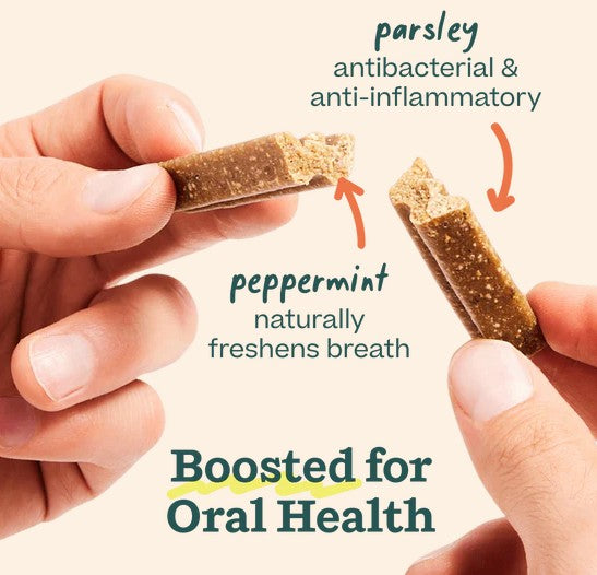 WOOF Bite n' Brush Refills for Dogs