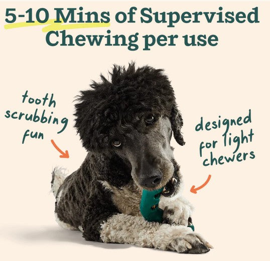 WOOF Bite n' Brush Refills for Dogs