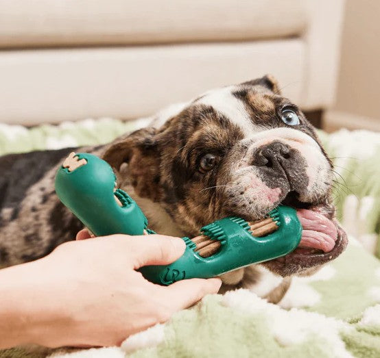 WOOF Bite n' Brush Refills for Dogs