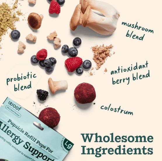 WOOF Pupsicle Allergy & Immunity Pops for Dogs