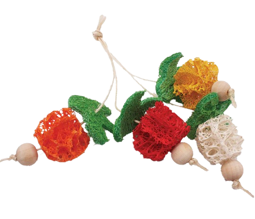 Loofah Bunch of Fruits for Small Animals
