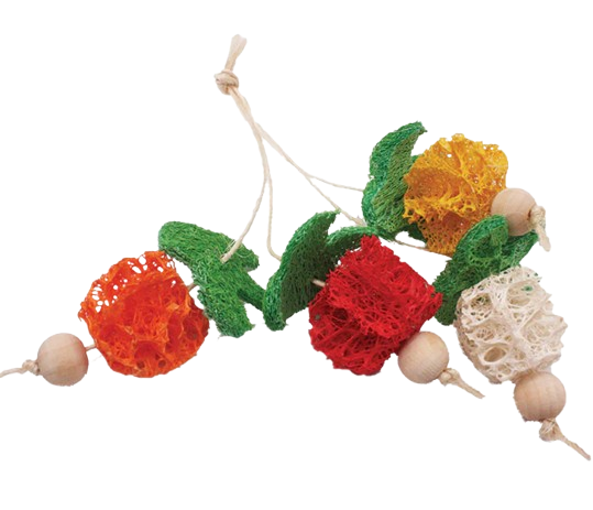 Loofah Bunch of Fruits for Small Animals
